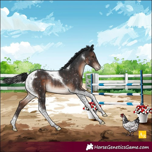 Horse Color:Brown Mushroom Tobiano Blanket Rabicano