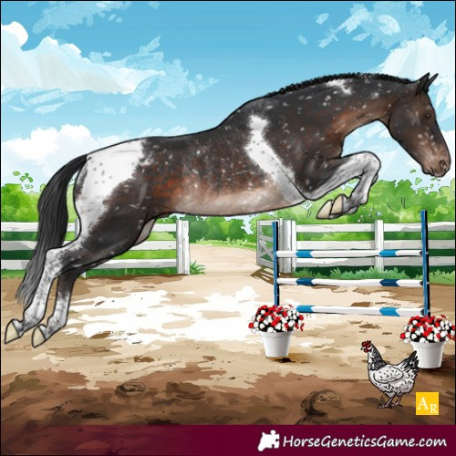 Horse Color:Brown Mushroom Tobiano Blanket Rabicano