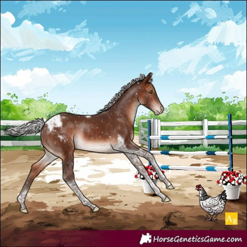 Horse Color:Silver Brown Mushroom Tobiano Snowcap Rabicano 