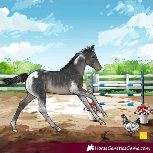 Horse Color:Black Mushroom Tobiano Snowcap Rabicano 