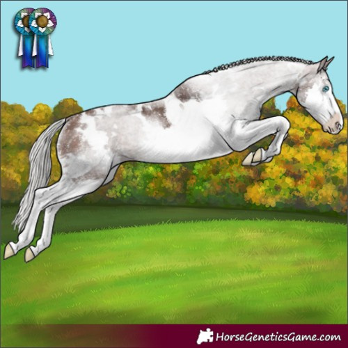 Horse Color:White Spotted Silver Brown Splash Rabicano