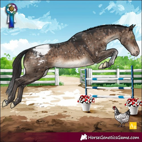 Horse Color:Brown Dun Tobiano Snowcap Rabicano Brindle