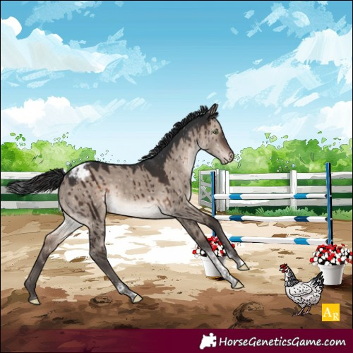 Horse Color:Brown Dun Mushroom Tobiano Snowcap Brindle 