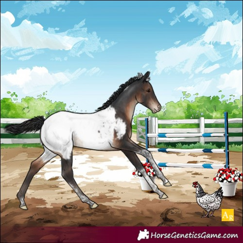 Horse Color:Brown Tobiano Near Fewspot
