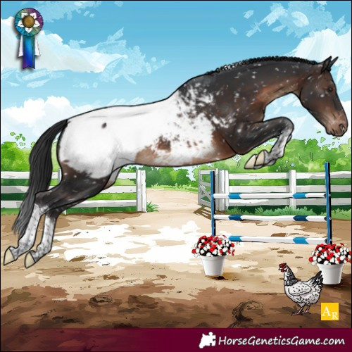 Horse Color:Brown Tobiano Near Fewspot 