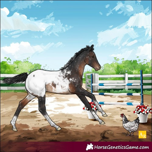 Horse Color:Brown Tobiano Near Fewspot 