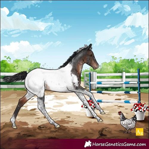 Horse Color:Brown Mushroom Tobiano Near Fewspot Rabicano
