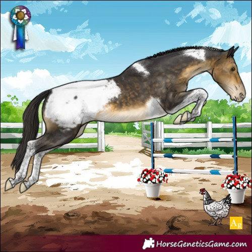 Horse Color:Buckskin Tobiano Snowcap 
