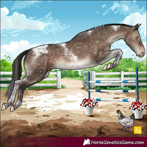 Horse Color:Brown Dun Tobiano Snowcap Brindle 