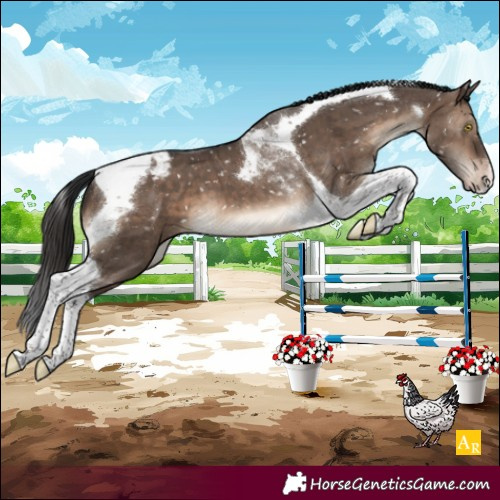 Horse Color:Brown Dun Tobiano Snowcap Brindle 