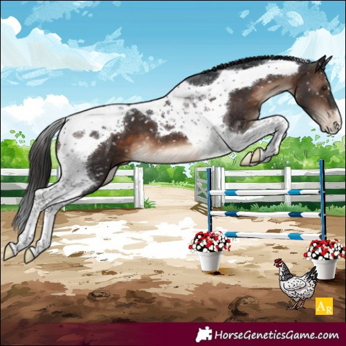 Horse Color:Brown Tobiano Snowcap 