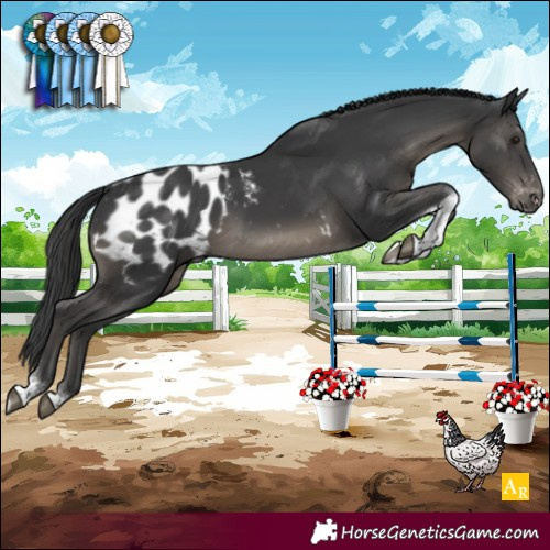 Horse Color:Black Tobiano Blanket