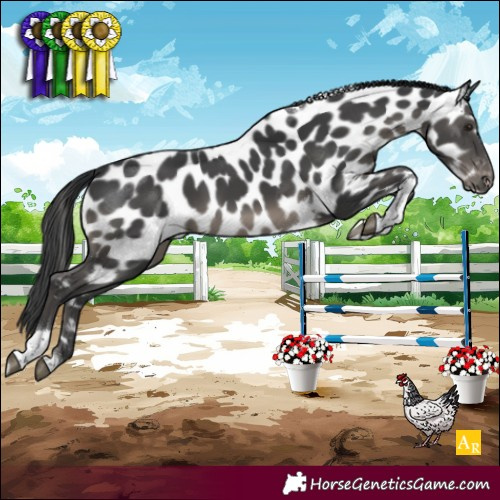 Horse Color:Black Tobiano Near Leopard