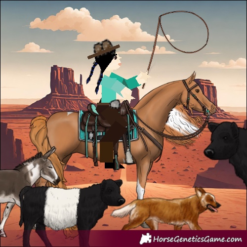 Horse Color:Unknown 
