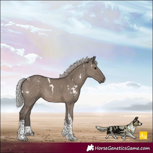 Horse Color:White Spotted Silver Grullo Tobiano 