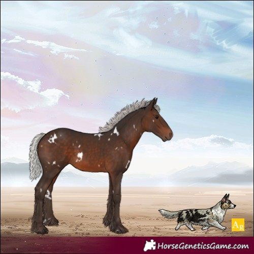Horse Color:White Spotted Silver Brown