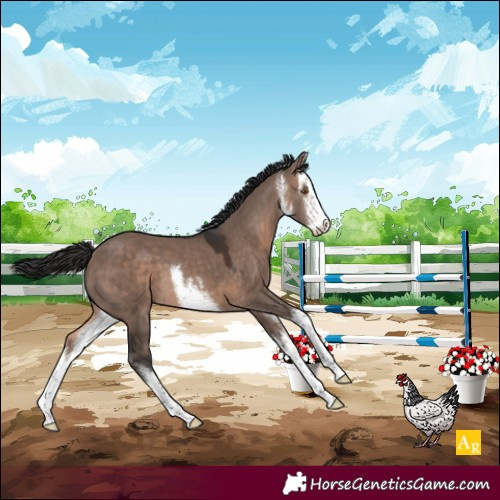 Horse Color:White Spotted Brown Dun Mushroom