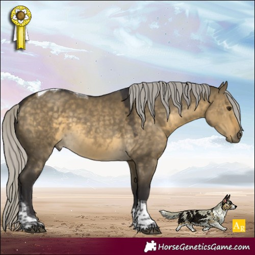 Horse Color:Silver Buckskin Dun Tobiano Rabicano 