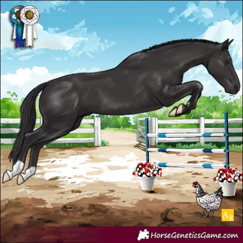 Horse Color:Smoky Black Mushroom