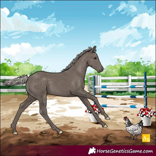 Horse Color:Silver Smoky Black