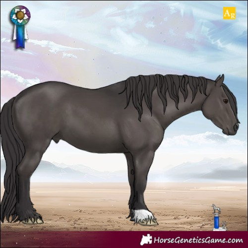 Horse Color:Smoky Black 