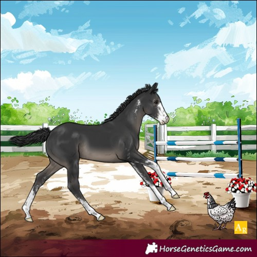 Horse Color:Black Mushroom Sabino 