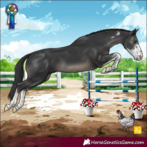 Horse Color:Black Mushroom Sabino