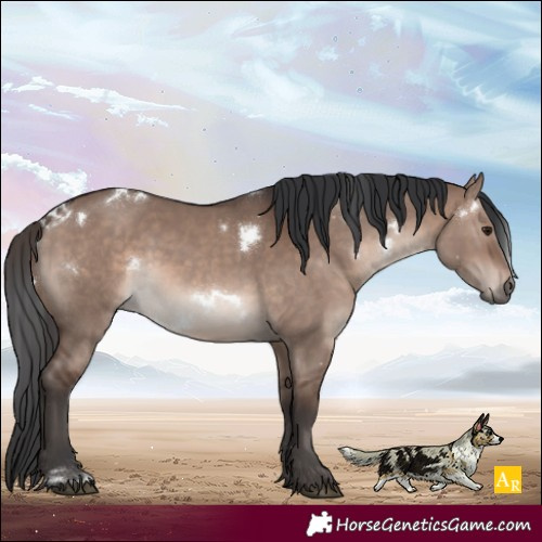 Horse Color:White Spotted Brown Dun Mushroom