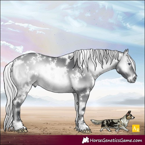 Horse Color:White Spotted Silver Bay Chinchilla Onyx