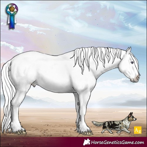 Horse Color:White Spotted Liver Red Onyx Chinchilla Splash Brindle