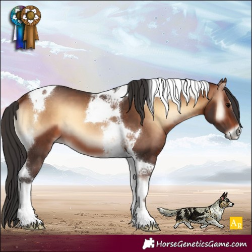 Horse Color:Brown Onyx Tobiano 