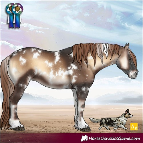 Horse Color:White Spotted Liver Red Onyx