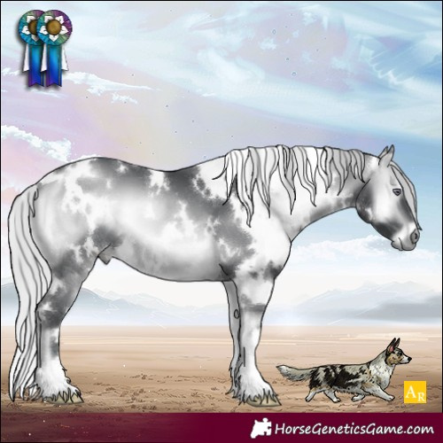 Horse Color:White Spotted Silver Brown Chinchilla Onyx