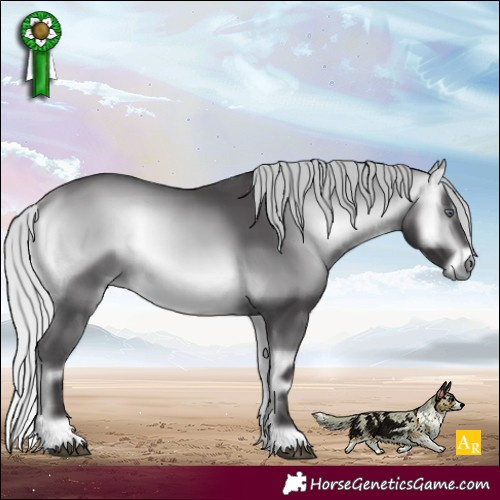 Horse Color:Silver Buckskin Chinchilla Onyx