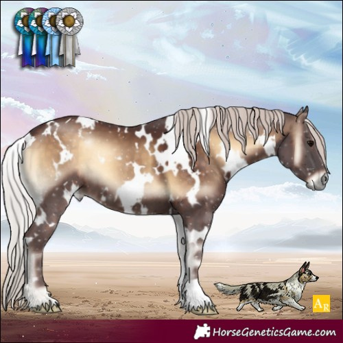 Horse Color:White Spotted Chocolate Silver Brown Onyx 