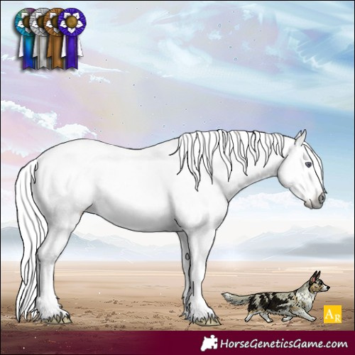Horse Color:White Spotted Liver Red Onyx Chinchilla Brindle 