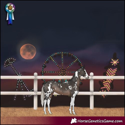 Horse Color:Gray White Spotted Silver Black Splash