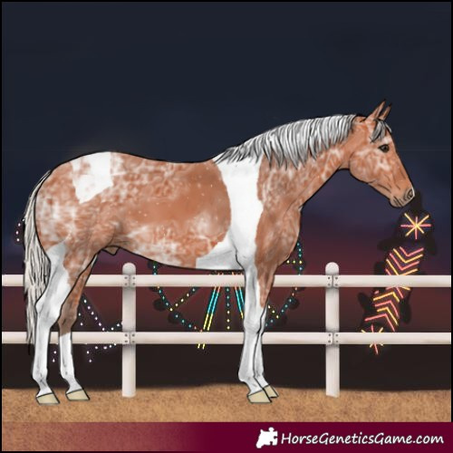 Horse Color:Silver Bay Ice Tobiano