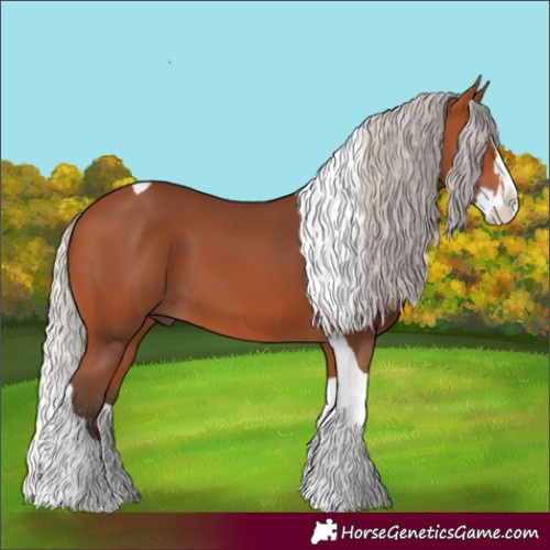 Horse Color:Silver Bay Splash Tobiano 