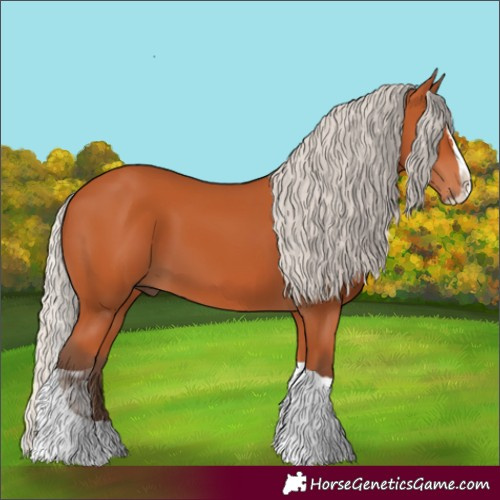 Horse Color:Silver Bay Splash Tobiano 