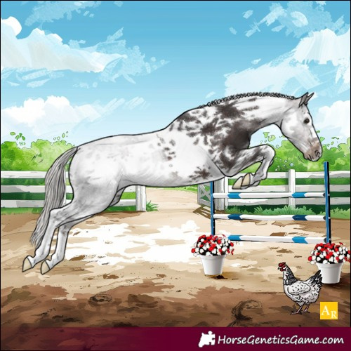 Horse Color:Silver Brown Tobiano Frame