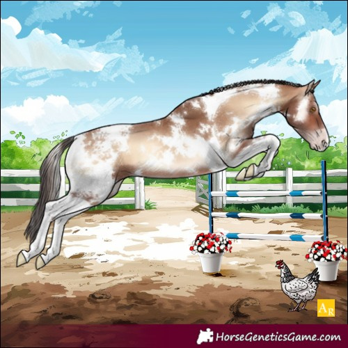 Horse Color:White Spotted Sable Champagne Onyx Tobiano