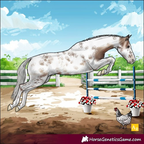 Horse Color:Silver Blue Onyx Tobiano Frame 