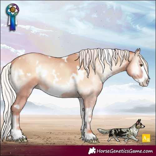 Horse Color:White Spotted Chocolate Silver Amber Champagne Onyx Frame 