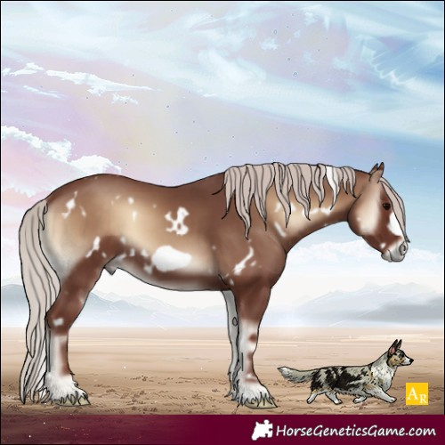Horse Color:White Spotted Chocolate Silver Blue Onyx Frame 