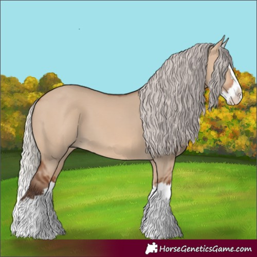 Horse Color:Silver Brown Dun Splash