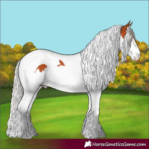 Horse Color:Silver Bay Splash Tobiano