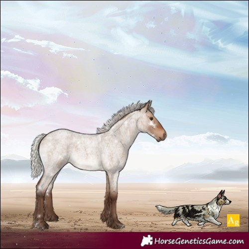 Horse Color:White Spotted Silver Brown Roan Dun