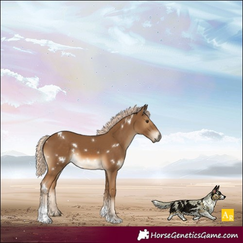 Horse Color:White Spotted Chocolate Palomino Tobiano