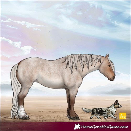 Horse Color:Silver Brown Roan Dun Tobiano 